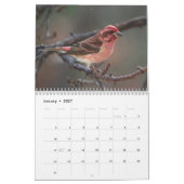 鳥の暦の1年 カレンダー (1月 2027)
