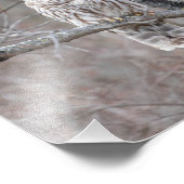 鳥の木に生えたフクロウ フォトプリント            (角)