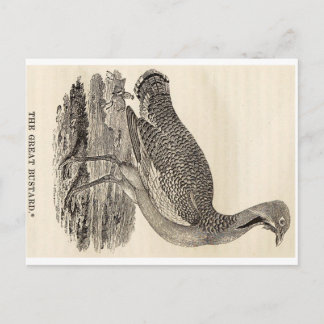 鳥の木版画はがき ポストカード