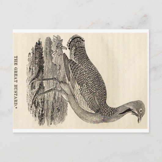 鳥の木版画はがき ポストカード (正面)