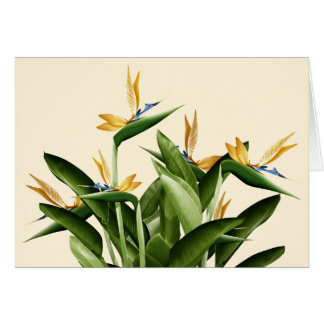 鳥の楽園のファンタジーの植物