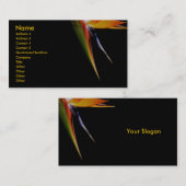 鳥の楽園のプロフィールカード 名刺 (正面/裏面)