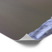 鳥の止まり木ポスター ポスター (角)