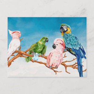鳥の水の色のオウムMacaw Cockatoo Paraket ポストカード