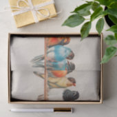 鳥の水色の野生生物のヴィンテージ自然 薄葉紙 (ギフト)