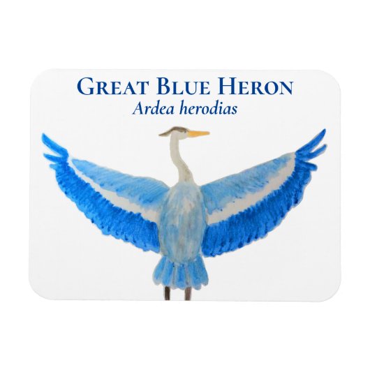 鳥の水色科学的なブルー素晴らしヘロン マグネット (横)