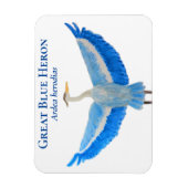 鳥の水色科学的なブルー素晴らしヘロン マグネット (縦)