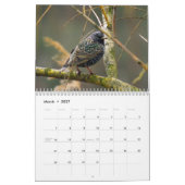 「鳥の物語」鳥の写真カレンダー カレンダー (3月 2027)