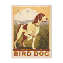 鳥の犬に過去はない