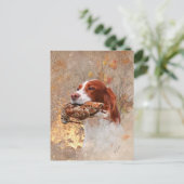 鳥の犬、木のコック狩り ポストカード (スタンド正面)