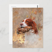 鳥の犬、木のコック狩り ポストカード (正面/裏面)