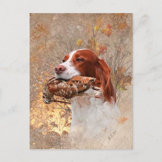 鳥の犬、木のコック狩り ポストカード (正面)
