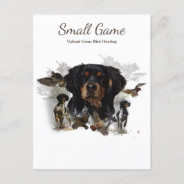 鳥の犬、高地ゲームの鳥狩り ポストカード