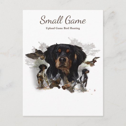 鳥の犬、高地ゲームの鳥狩り ポストカード (正面)