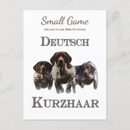 鳥の犬、高地ゲームの鳥狩り ポストカード