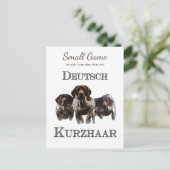 鳥の犬、高地ゲームの鳥狩り ポストカード (スタンド正面)