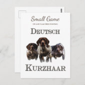 鳥の犬、高地ゲームの鳥狩り ポストカード (正面/裏面)