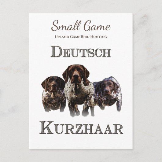 鳥の犬、高地ゲームの鳥狩り ポストカード (正面)