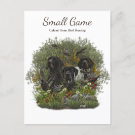 鳥の犬、高地ゲームの鳥狩り ポストカード