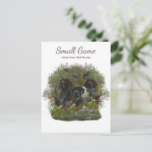 鳥の犬、高地ゲームの鳥狩り ポストカード (スタンド正面)