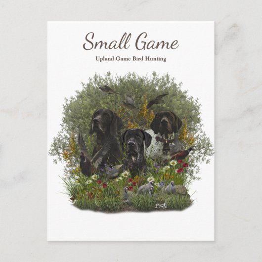 鳥の犬、高地ゲームの鳥狩り ポストカード (正面)