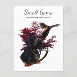 鳥の犬、高地ゲームの鳥狩り ポストカード