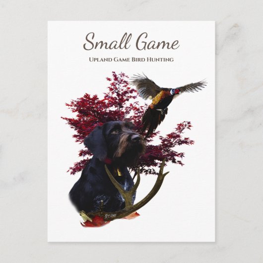 鳥の犬、高地ゲームの鳥狩り ポストカード (正面)