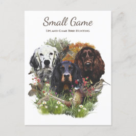 鳥の犬、高地ゲームの鳥狩り ポストカード