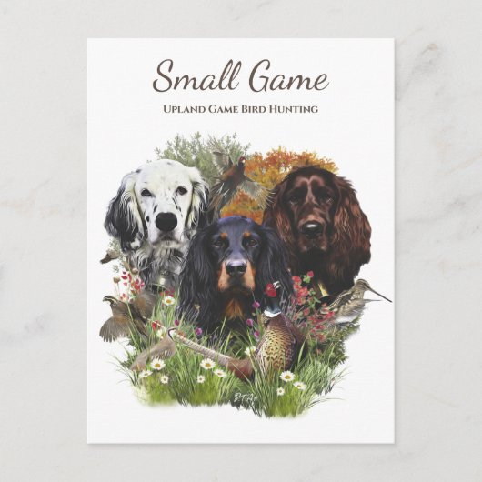 鳥の犬、高地ゲームの鳥狩り ポストカード (正面)