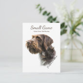 鳥の犬、高地ゲームの鳥狩り ポストカード (スタンド正面)