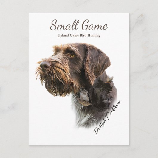 鳥の犬、高地ゲームの鳥狩り ポストカード (正面)