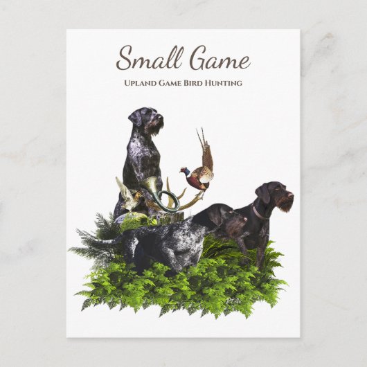 鳥の犬、高地ゲームの鳥狩り ポストカード (正面)