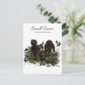 鳥の犬、高地ゲームの鳥狩り ポストカード (スタンド正面)