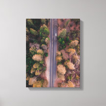 鳥の目の写真中央の道路