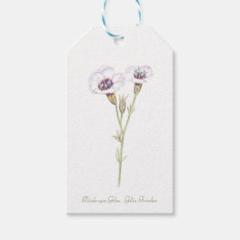 鳥の目ジリア水彩木箱の看板 ギフトタグ