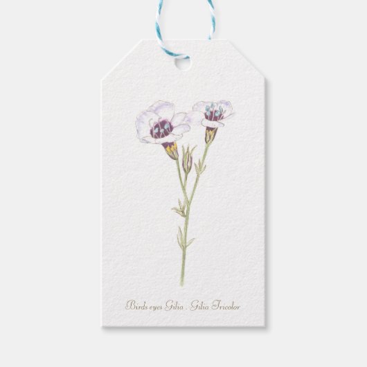 鳥の目ジリア水彩木箱の看板 ギフトタグ (正面)