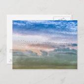 鳥の移動を捉えるチームの創造力 ポストカード (正面/裏面)