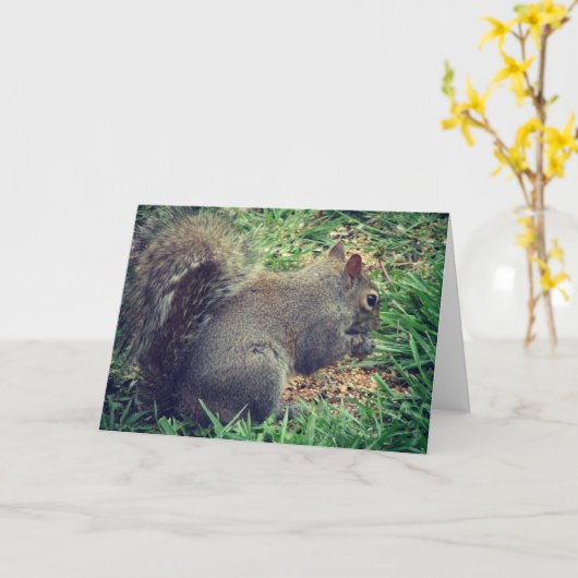 鳥の種のリス カード (黄色い花)