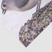 鳥の種の上に房状タイトマウスをティッシュペーパー 薄葉紙 (詳細)