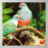 鳥の緑 ポスター (正面)