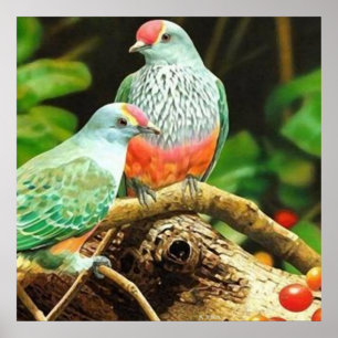鳥の緑 ポスター