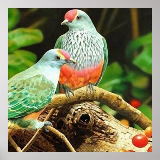 鳥の緑 ポスター (正面)