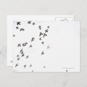 鳥の群れが飛んでいる空にいる ポストカード (正面/裏面)