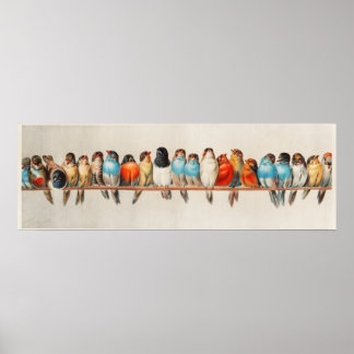 鳥の群れヴィンテージイラストレーション ポスター