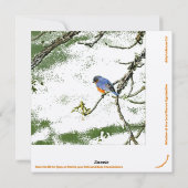 鳥の群救れ シーズンカード (裏面)