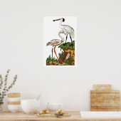 鳥の自然史1795プレート33小 ポスター (キッチン)