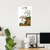 鳥の自然史1795プレート33小 ポスター (ホームオフィス)