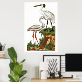 鳥の自然史1795プレート33 ポスター (ホームオフィス)