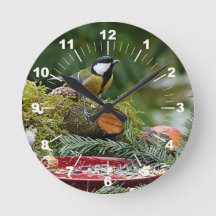 鳥の赤カラフルいフィーダーパイン写真