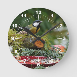 鳥の赤カラフルいフィーダーパイン写真 ラウンド壁時計